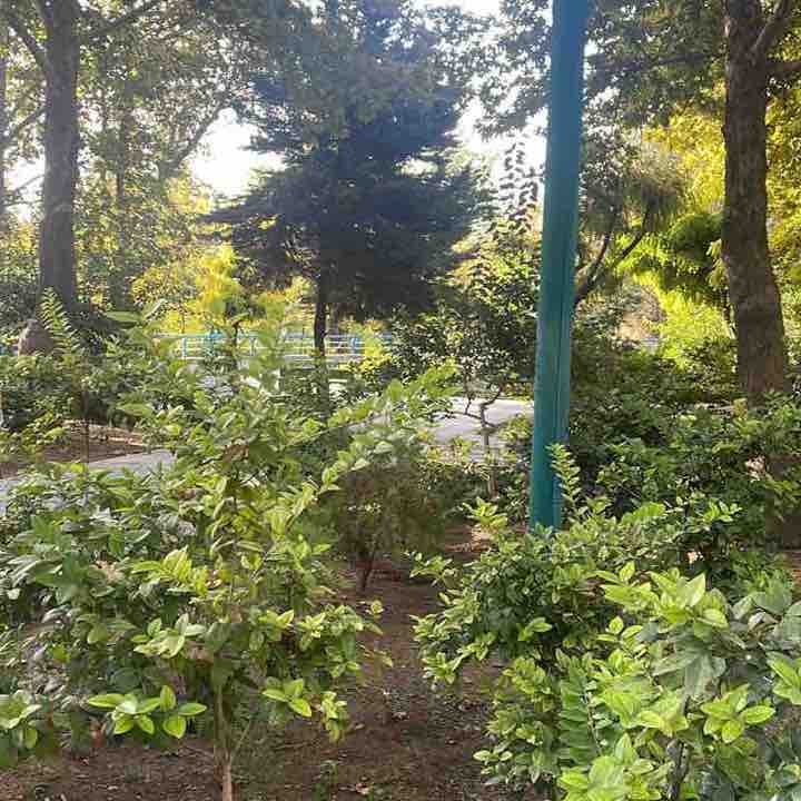 ᔕOᘜᗩᑎᗪ.ᑎᘔᖇ post 2