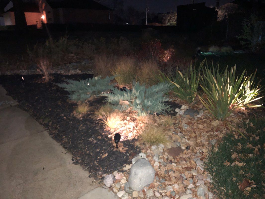 walking near me in Ruth Porter Mall Park in winter