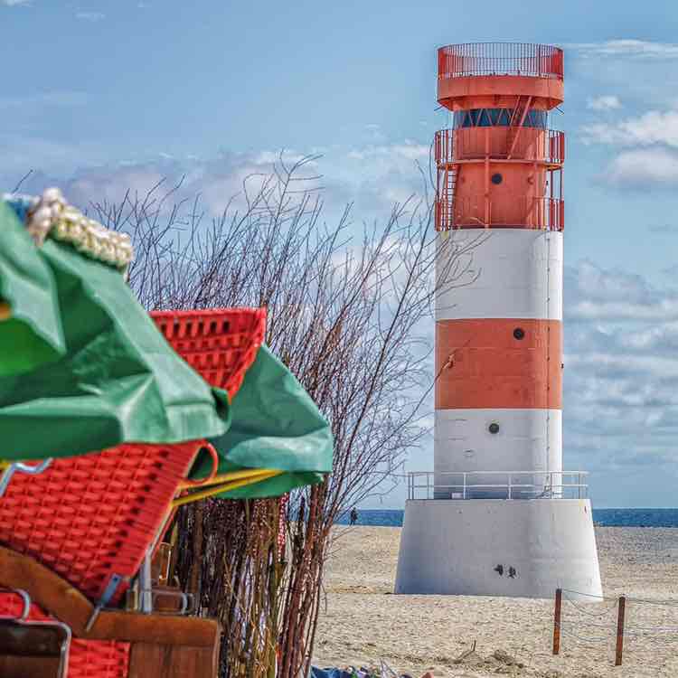 Wattenläufer Bea post image