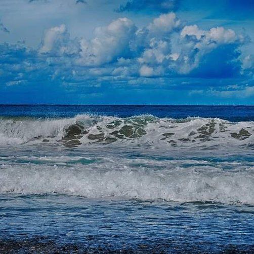 Wattenläufer Bea post image