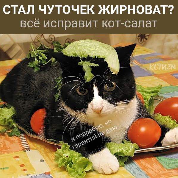 Ksenia post 1