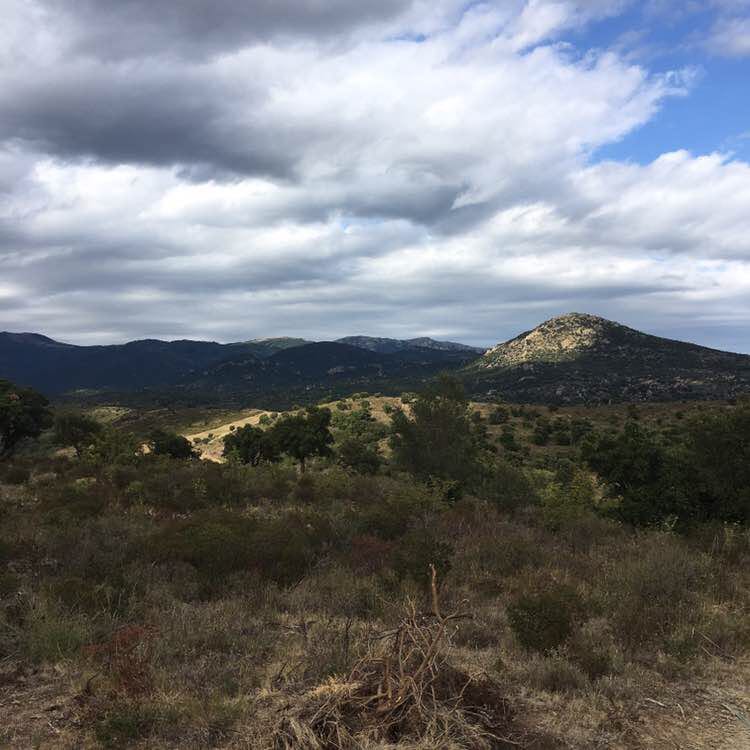 #ohneglitzerkeinecompetition post 2