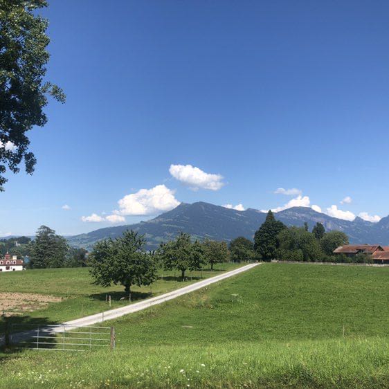 Rita 🇨🇭 post 3