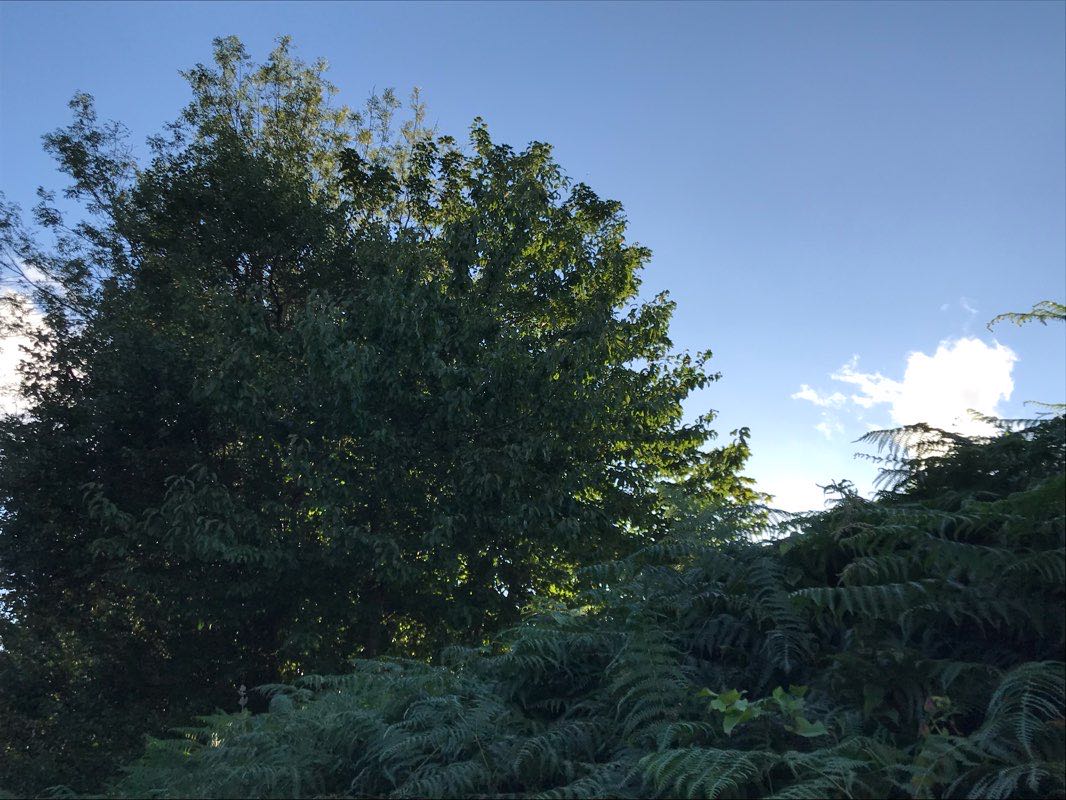 walking near me in Rimrose Valley Park in winter