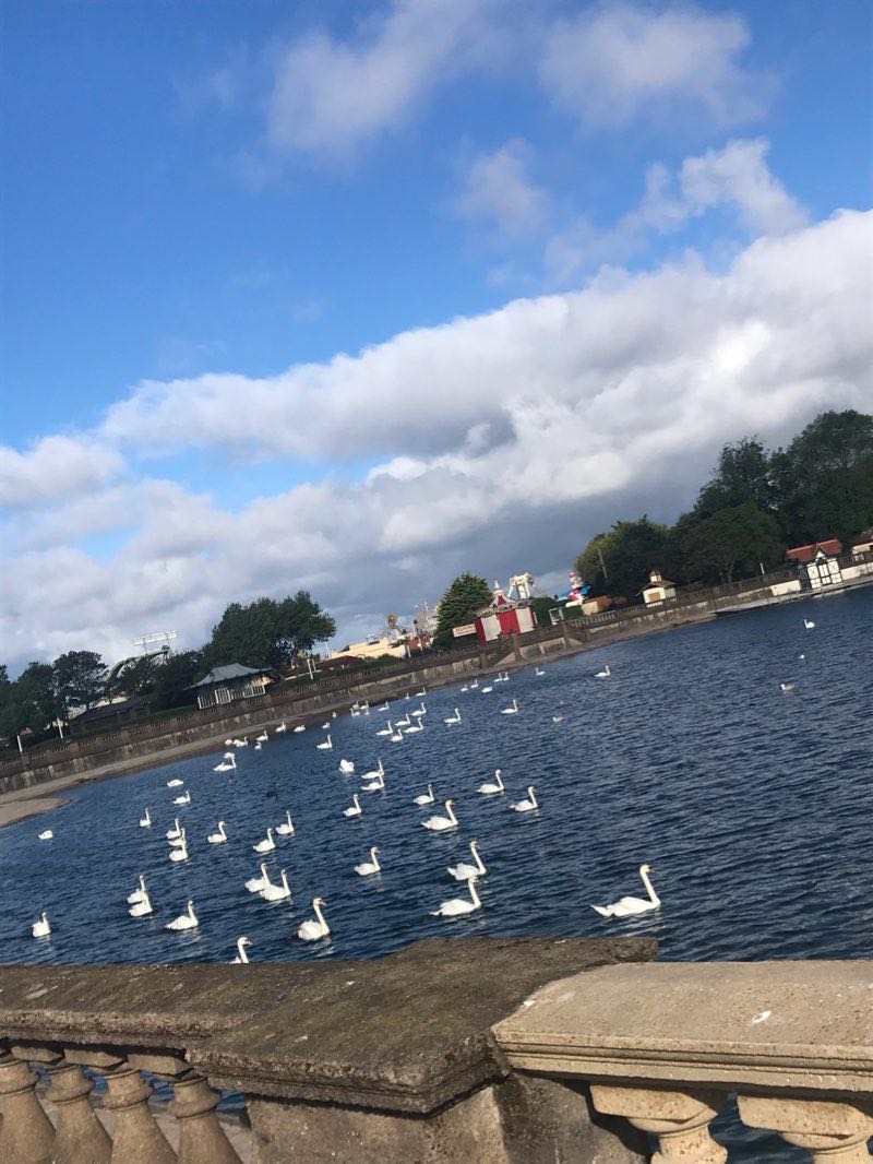 walking near me in Kings Gardens in winter