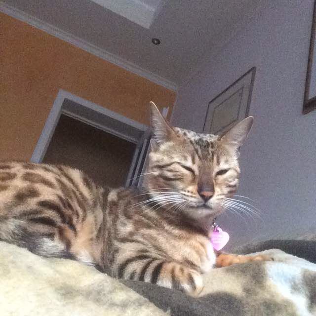 Matteo Pillai post 1