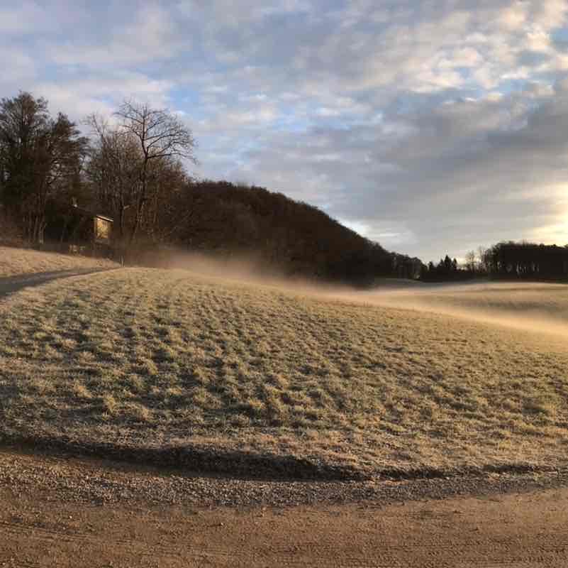 Sascha 🐕🇨🇭🇺🇸🐎 post 2