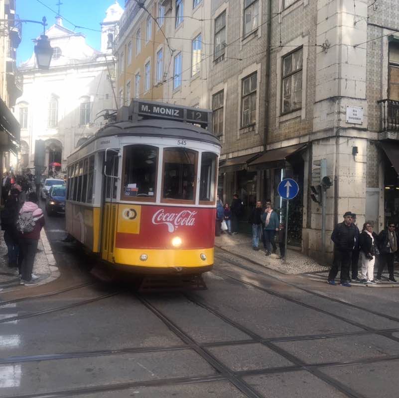 Sascha 🐕🇨🇭🇺🇸🐎 post 3