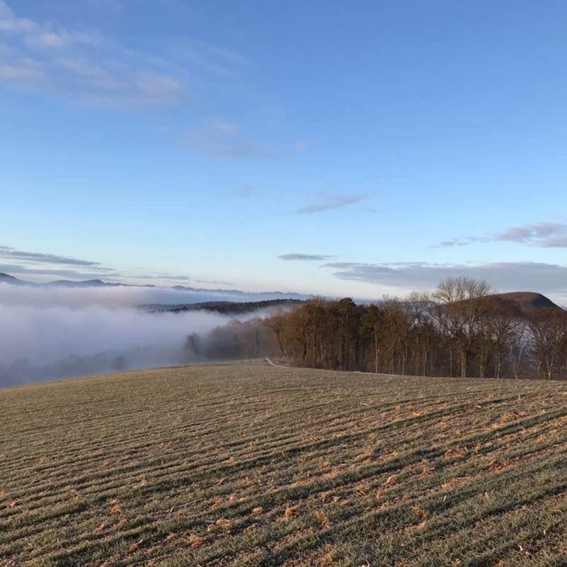 Sascha 🐕🇨🇭🇺🇸🐎 post 1