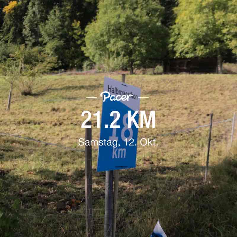 Sascha 🐕🇨🇭🇺🇸🐎 post 1