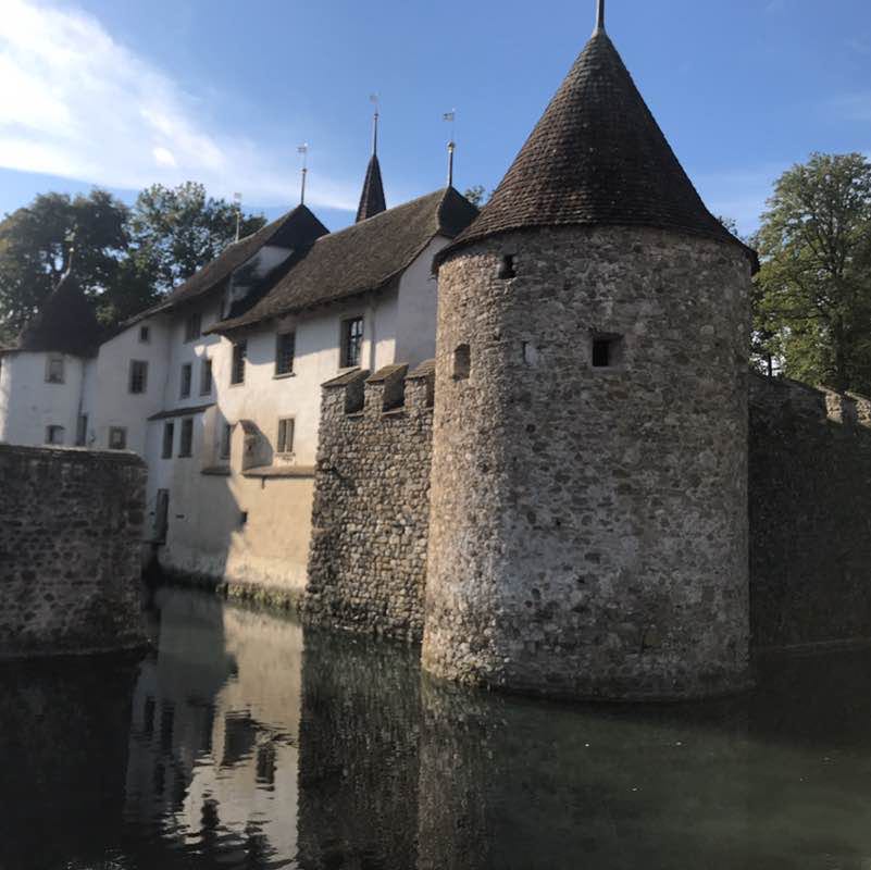 Sascha 🐕🇨🇭🇺🇸🐎 post 2