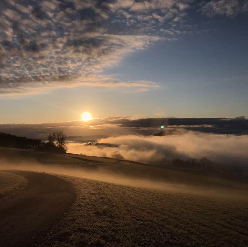 Sascha 🐕🇨🇭🇺🇸🐎 post 3