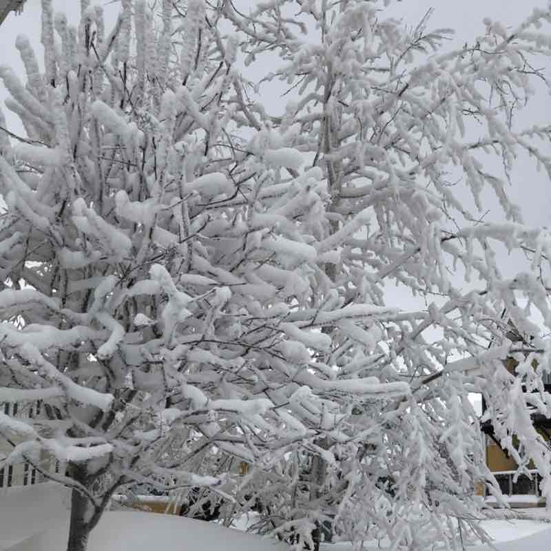 Оленька post 1