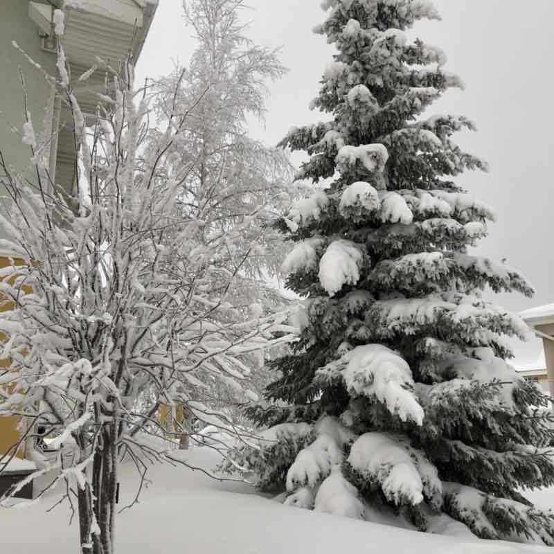 Оленька post 2