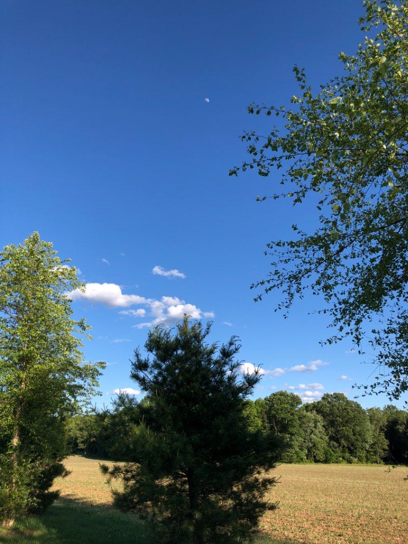 walking near me in Township Park in winter