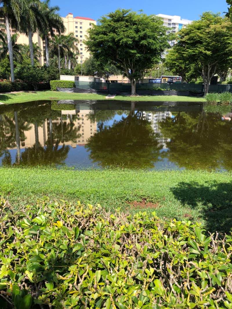 walking near me in Resident's Beach Park in winter