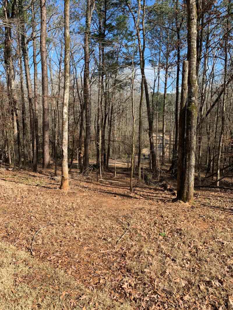 walking near me in R. L. Cook Park in winter