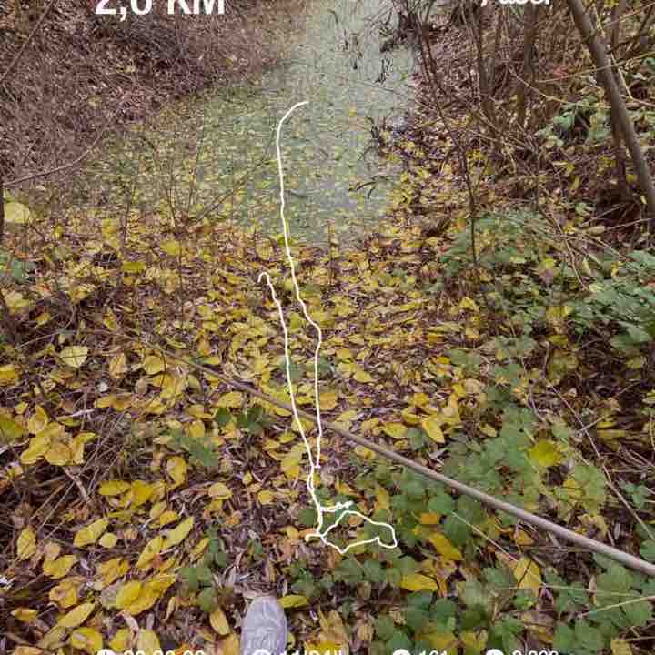 Elena Prekrasnaya post 1