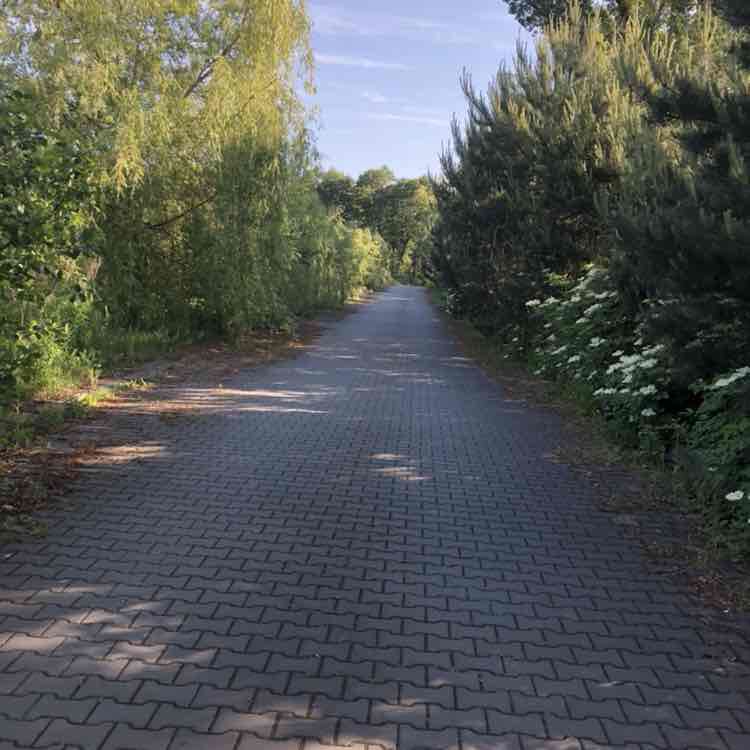 Elena Prekrasnaya post 2