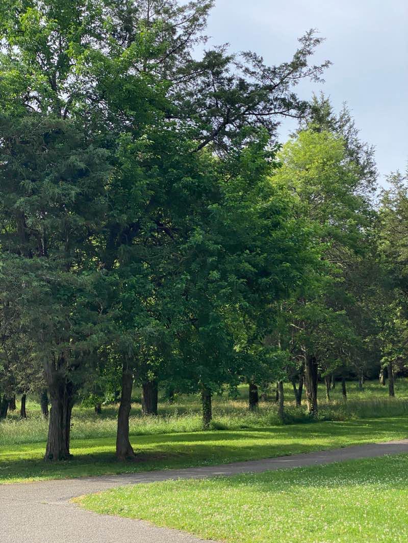 walking near me in Winstead Hill Park in winter