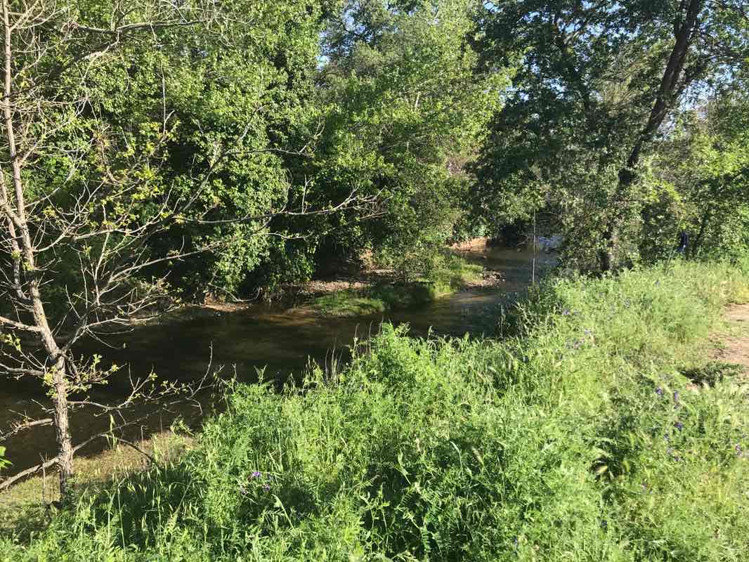 walking near me in Royer Park in winter
