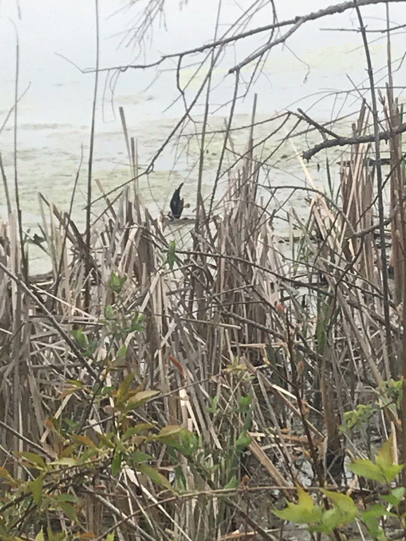 walking near me in National Road Heritage Trail in winter