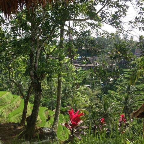 d'WalkingDave post 1