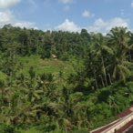 d'WalkingDave post 3