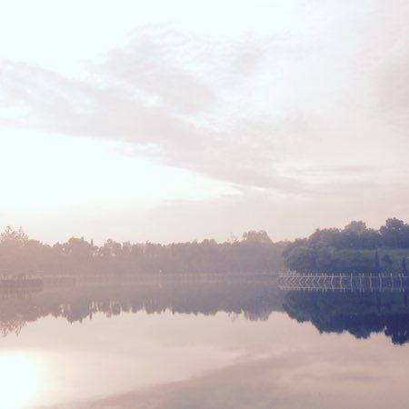 d'WalkingDave post 1