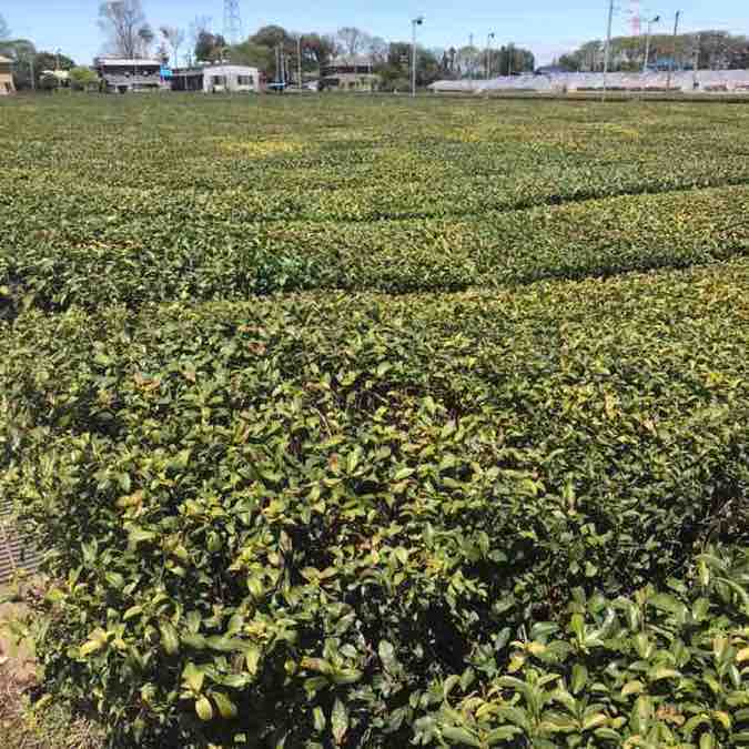 あきたろう post 1