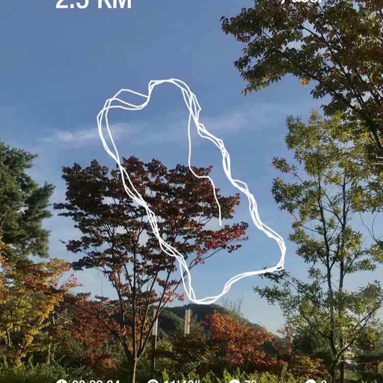 오하요키키 post 1