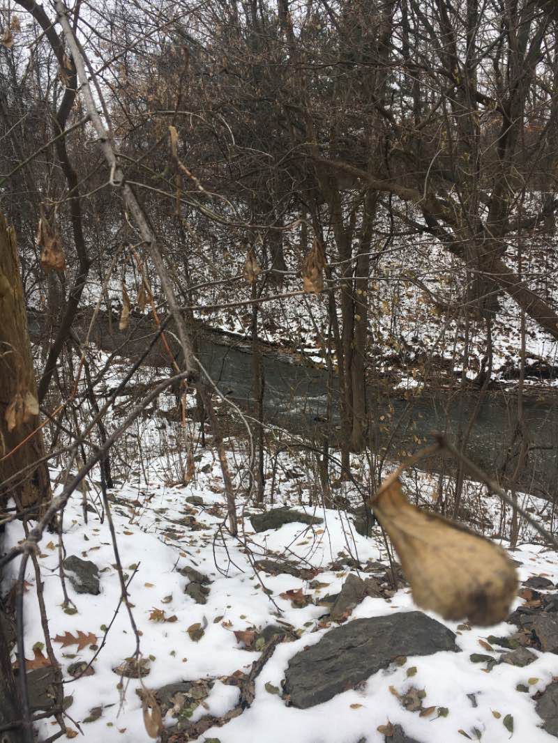 walking near me in Parc-nature du Ruisseau-De-Montigny in winter