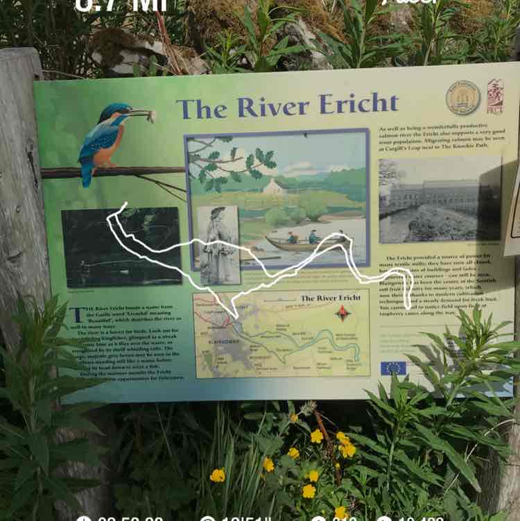 PacerGuy_1955 post 1