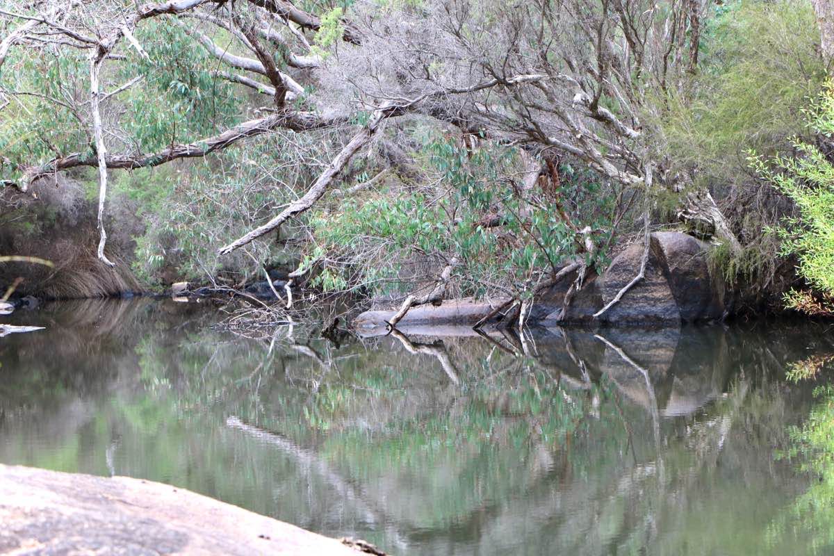 walking near me in Glen Forrest Super Block in summer