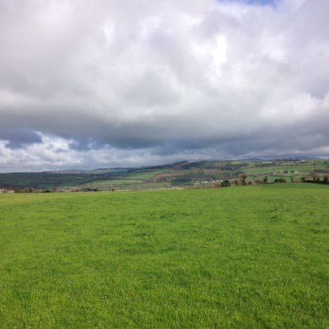 chiaracarletto340 post 2