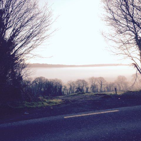 chiaracarletto340 post 2