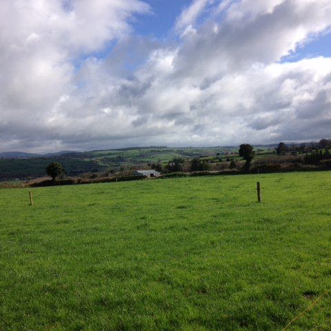 chiaracarletto340 post 1