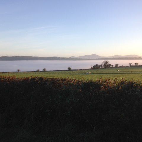 chiaracarletto340 post 1