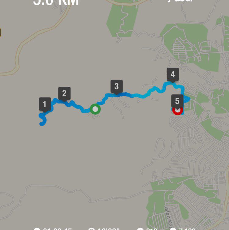 CarpetHillSrNAzahPg post 1