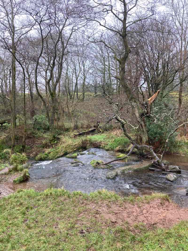 walking near me in Goldenhill Park in winter
