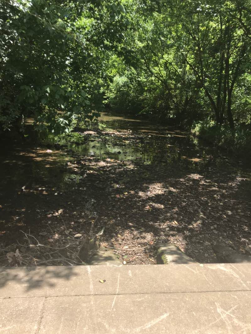 walking near me in Primm Historic Park in winter