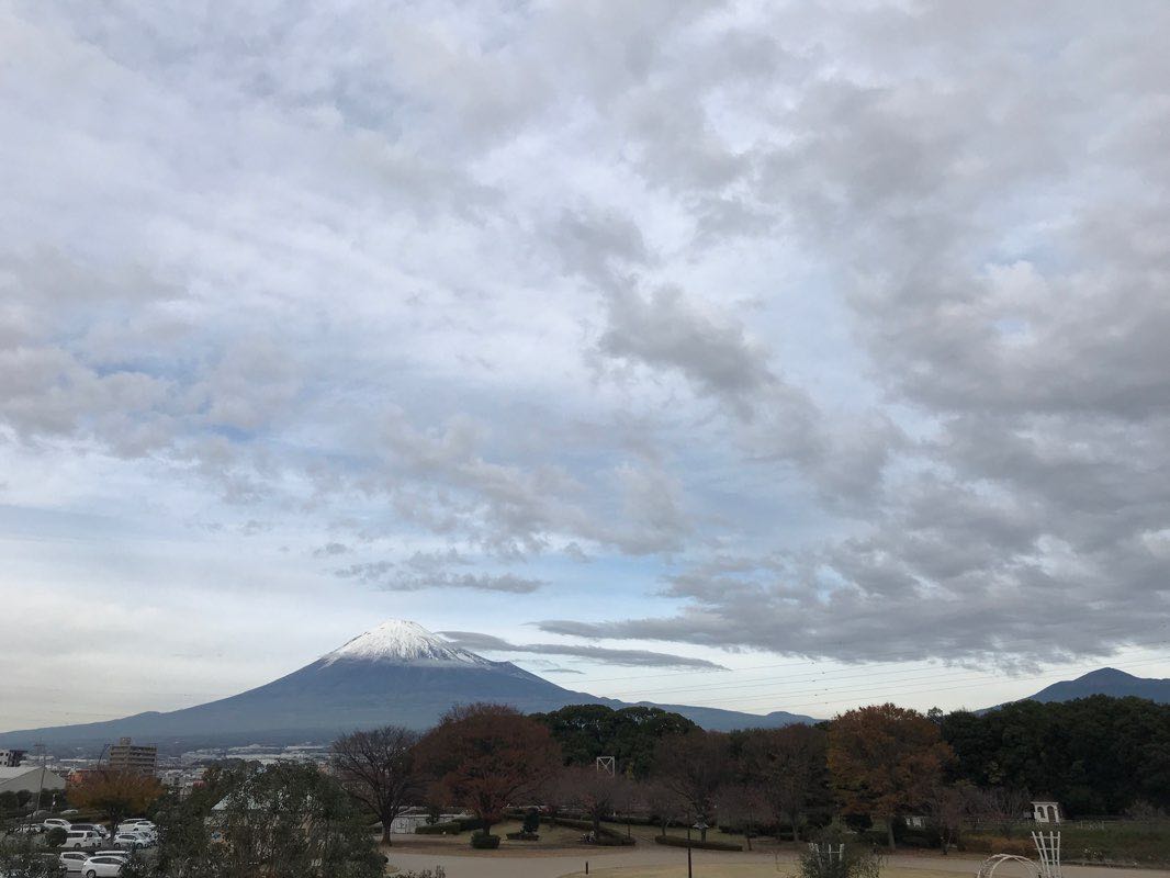 walking near me in 中央公園 in winter