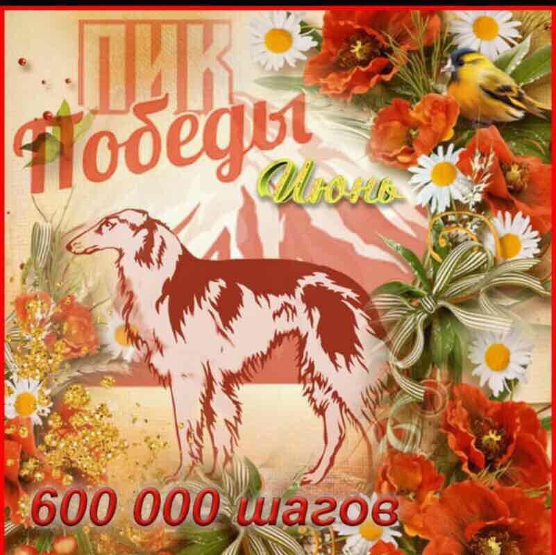 Jelenica 🇷🇺❤️🇷🇸 post 3