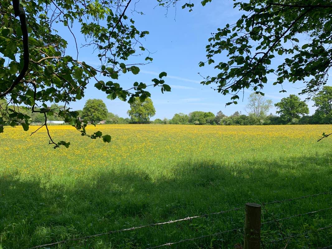 walking near me in Grosvenor Recreation Ground in winter