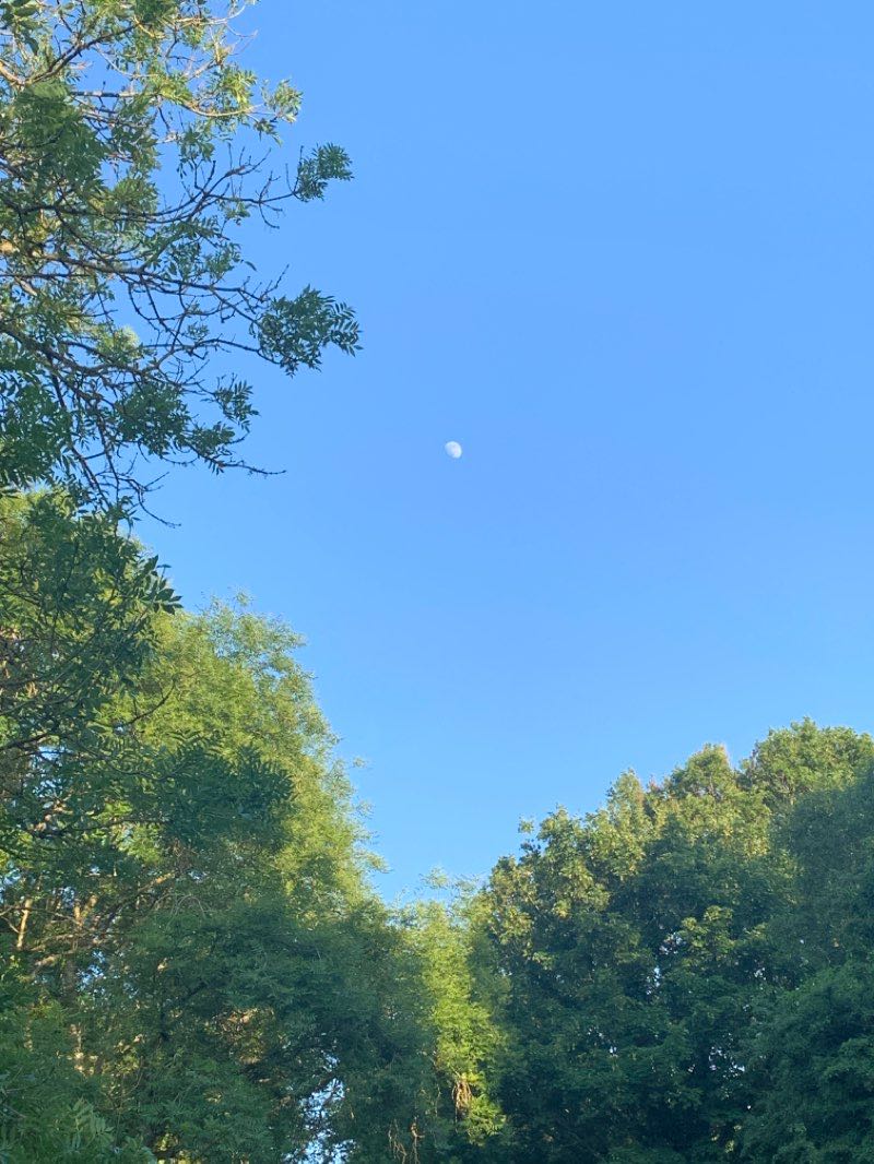 walking near me in Rusthall Common Cricket Ground in winter