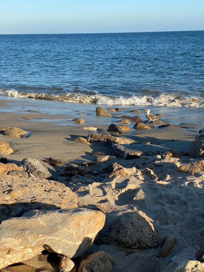 walking near me in Cameron Nature Preserve at Puerco Canyon in winter