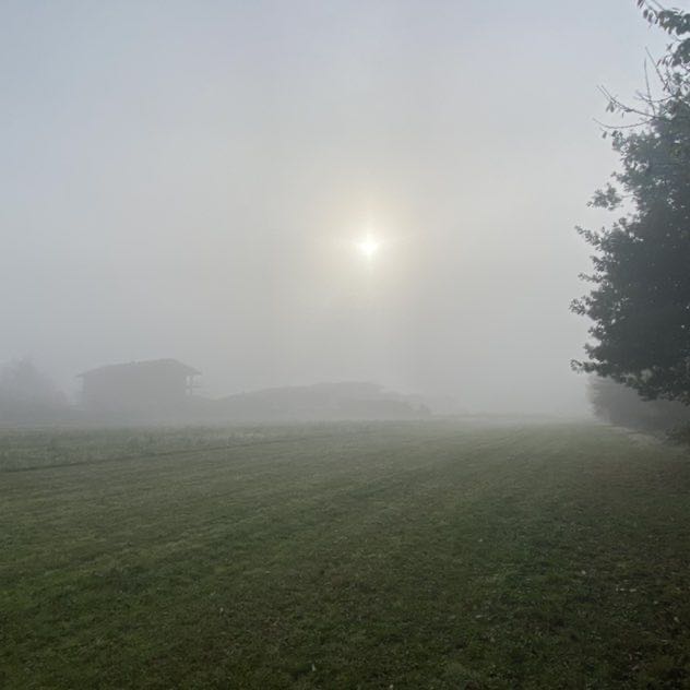 Pelandroni Cristian post image