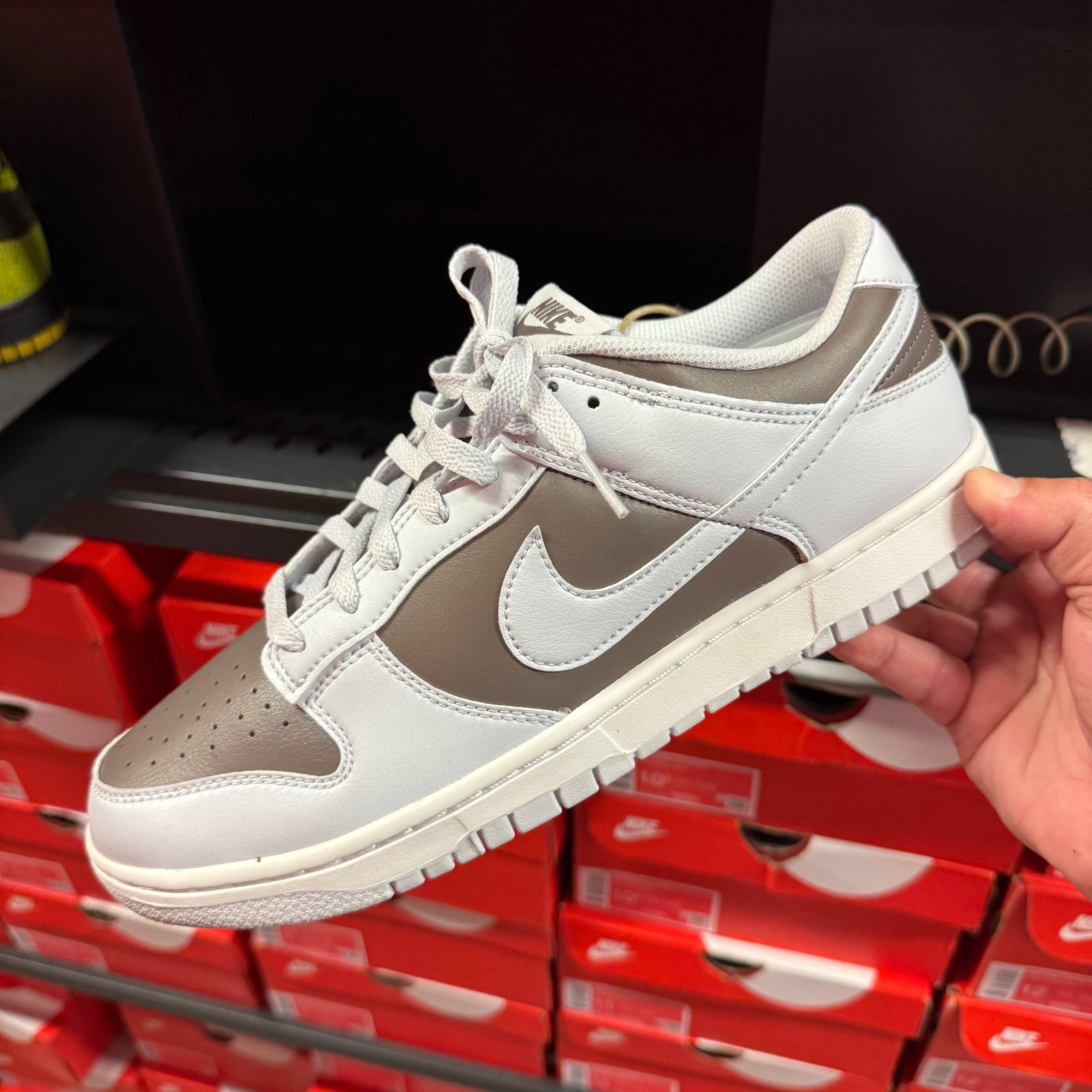 DUNK LOW