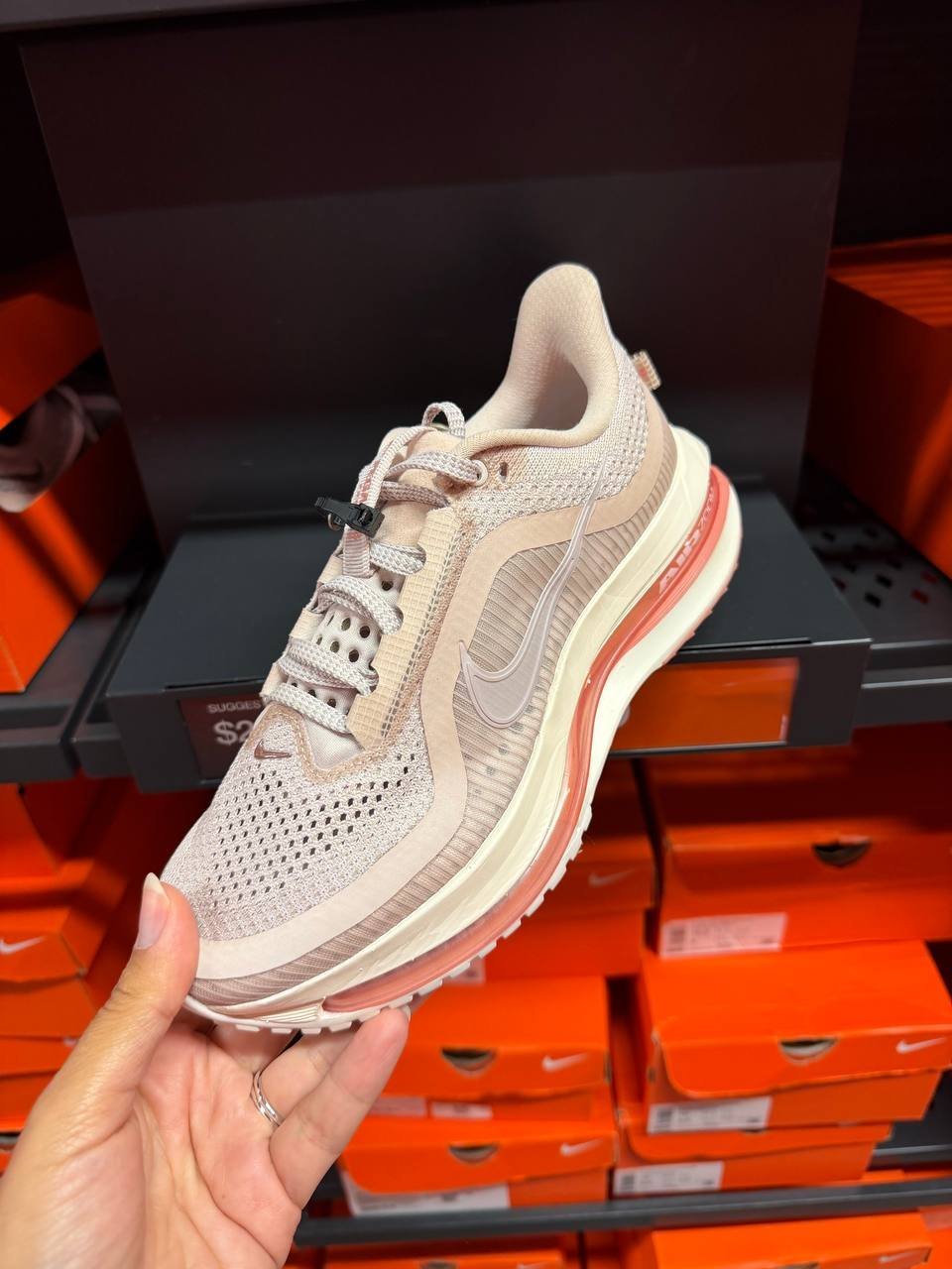 PEGASUS PREMIUM