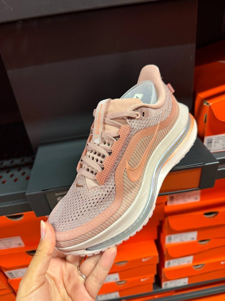 PEGASUS PREMIUM